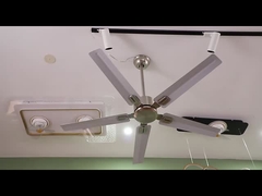 LED Ceiling Fan Lights