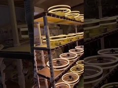 Bedroom Ceiling Fan Lamp Restaurant Balcony Led Ceiling Lamp Household Fan Lamp