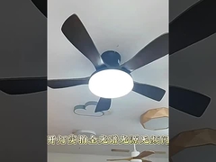 Modern Led Ceiling Fans