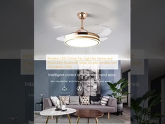 Modern LED Ceiling Fan Light for Home and Restaurant Bluetooth Mute Simple Invisible Iron Chandelier 220V