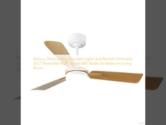 Factory Direct Ceiling Fans with Lights and Remote Dimmable 3CCT Reversible BLDC Motor ABS Blades for Bedroom Living Room