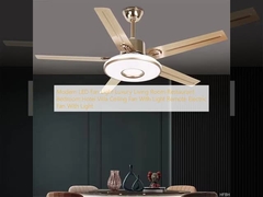 Modern LED Fan Light Luxury Living Room Restaurant Bedroom Hotel Villa Ceiling Fan With Light Remote Electric Fan With Light