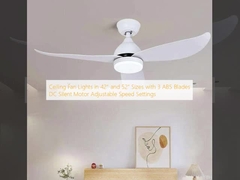 Ceiling Fan Lights in 42