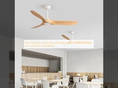Manufacturer Ceiling Fan with Black Mount Modern Design for Living Room Bedroom