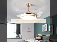 2025 Modern LED Ceiling Fan Light for Home and Restaurant Bluetooth Mute Simple Invisible Iron Chandelier 220V