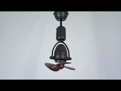 Oscillating electric fan